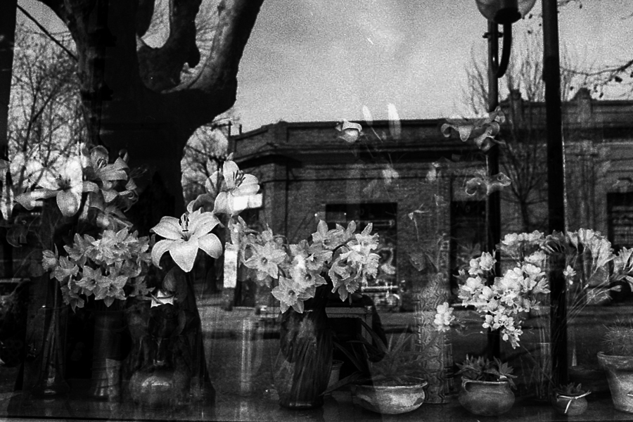 autorretrato en paisaje urbano la plata 35mm marcia filz