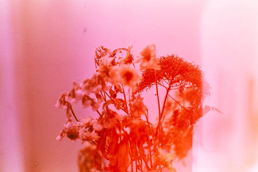 fotografia 35mm de marcia filz