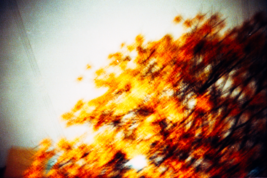 paisaje urbano 35mm marcia filz