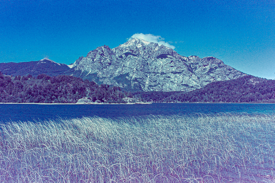parque Llao Llao Bariloche en 35mm por Marcia Filz