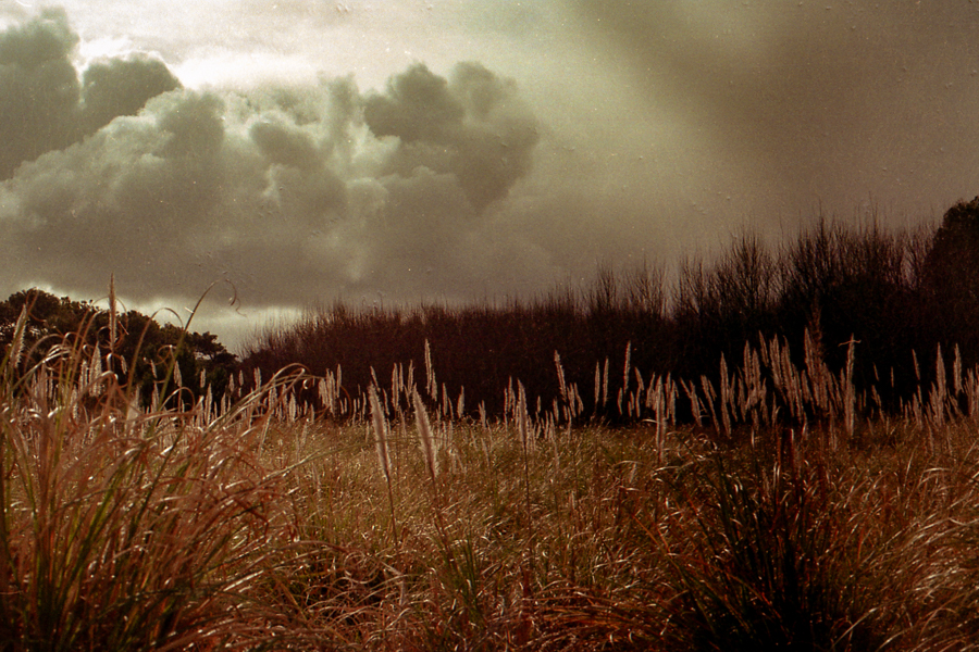 35mm marcia filz visiones