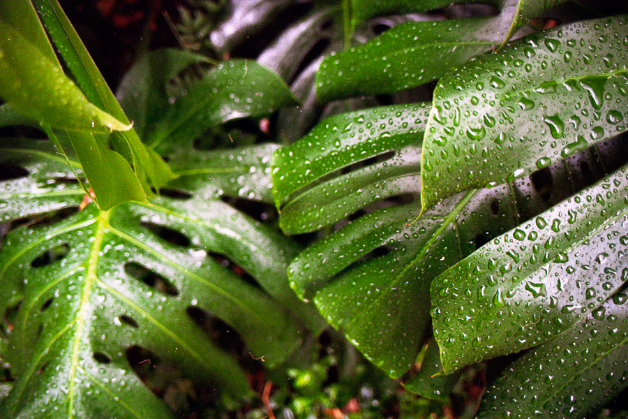 lluvia en La Plata 35mm Marcia Filz