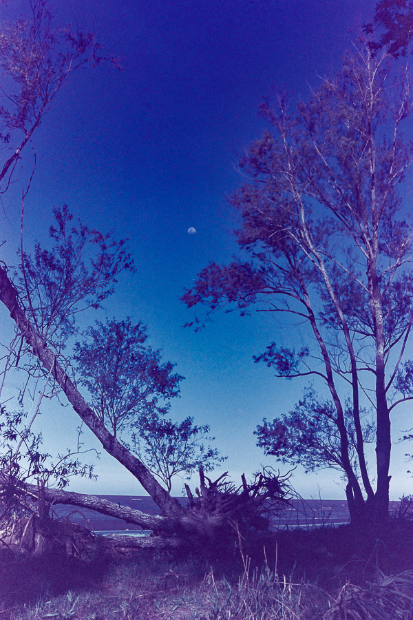paisaje ribereño con luna en Berisso en 35mm por Marcia Filz