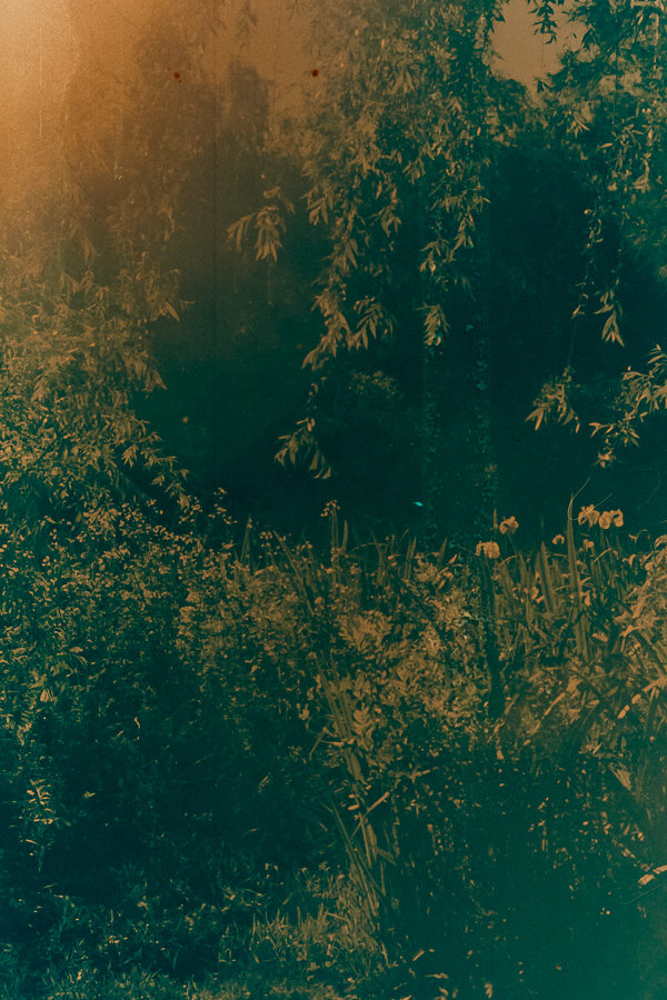 paisaje ribereño Berisso en 35mm por Marcia Filz