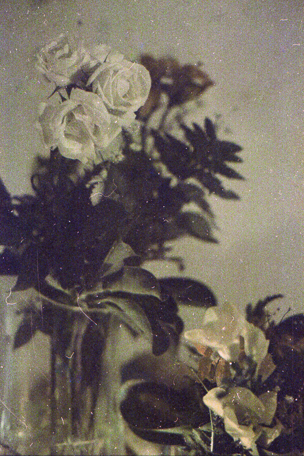 naturaleza muerta 35mm de marcia filz