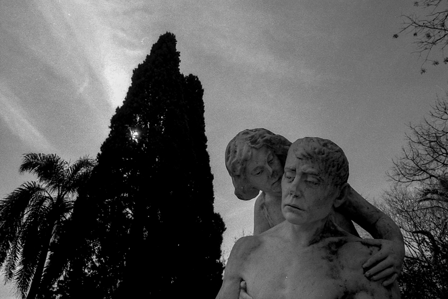 esculturas 35mm marcia filz