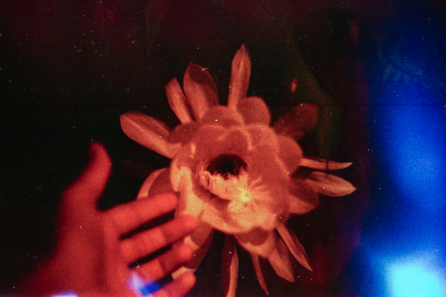 autorretrato 35mm La Plata Marcia Filz