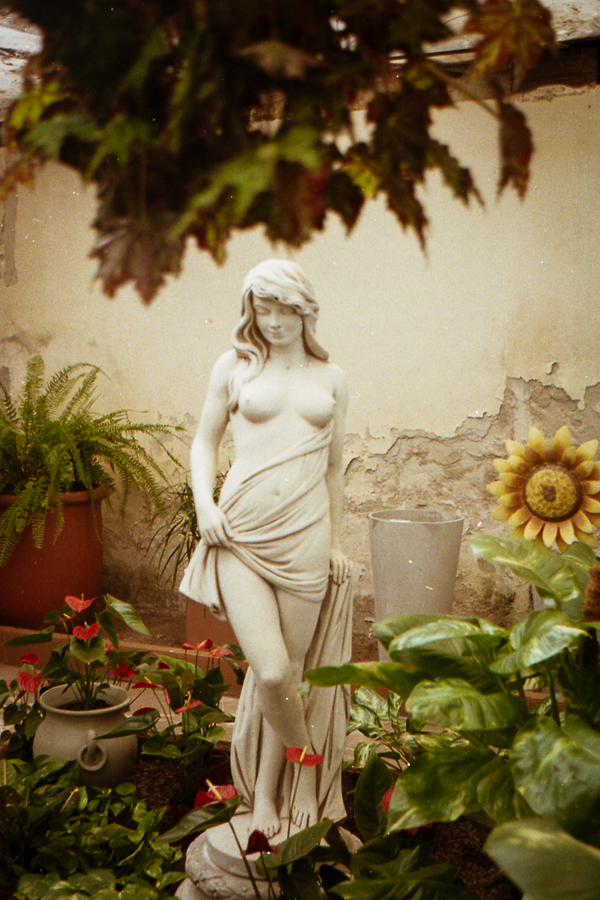 vivero en La Plata por Marcia Filz en 35mm