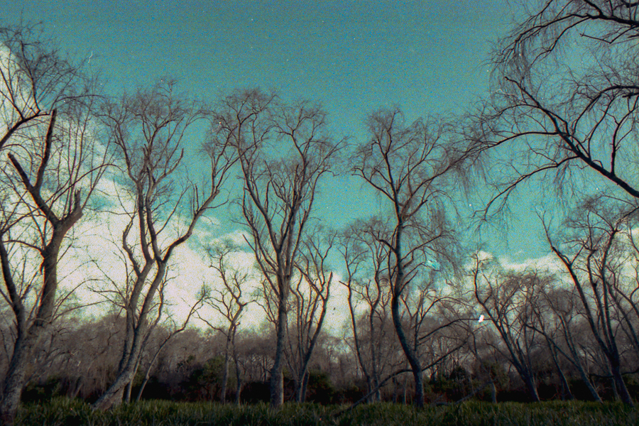 paisaje ribereño Berisso en 35mm por Marcia Filz