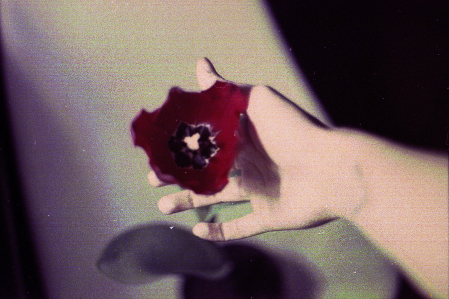 autorretrato 35mm de marcia filz