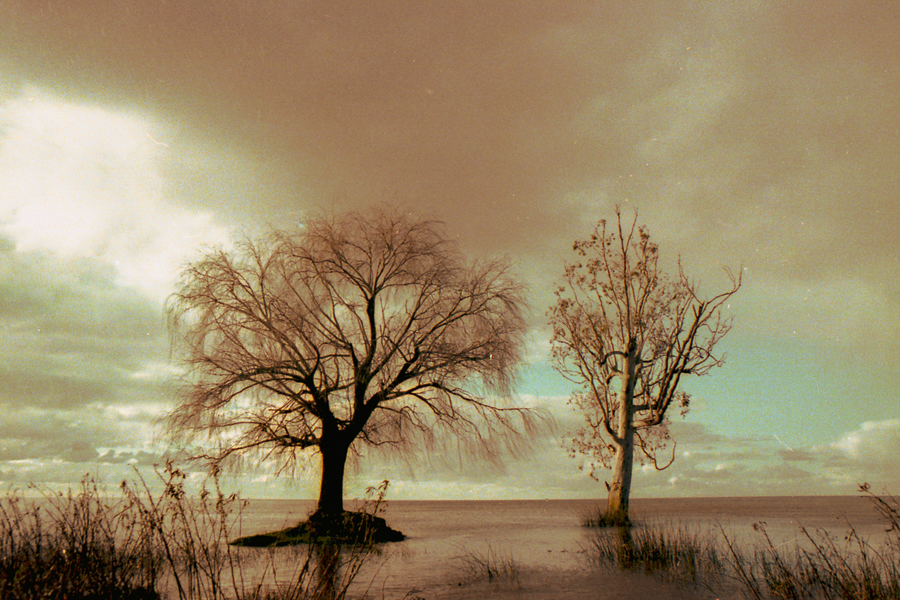 paisaje ribereño Berisso en 35mm por Marcia Filz