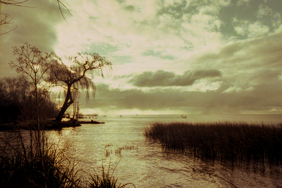 paisaje ribereño Berisso en 35mm por Marcia Filz