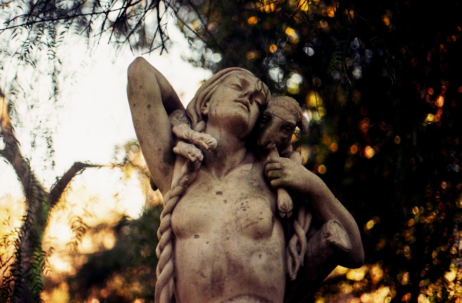 esculturas 35mm marcia filz