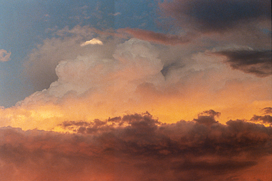 cielo 35mm marcia filz